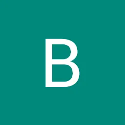 Bruce Bingobox 企业形象或头像