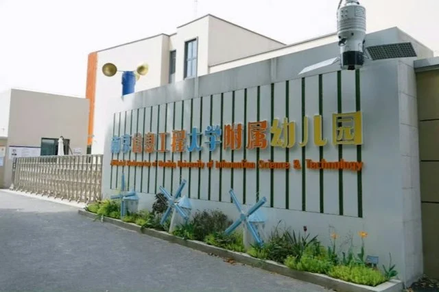 南京幼稚园爆集体呕吐老师揭饭堂铁镬洗拖把园长后厨全员免职 — 正文配图