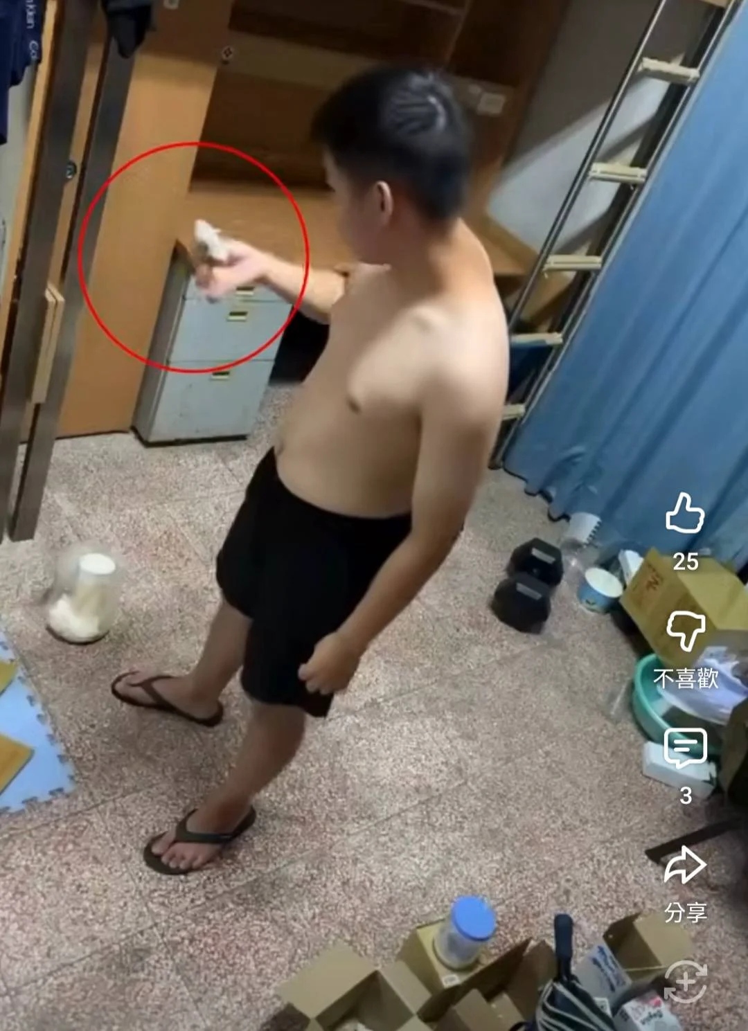 准硕士生…宿舍虐死40只仓鼠「五马分尸、火化」画面曝!校方回应了 — 封面