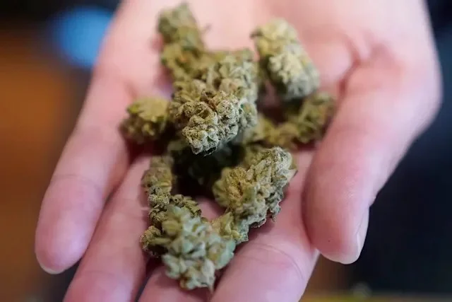 泰国拟收紧大麻政策新法案将禁娱乐用途 — 封面