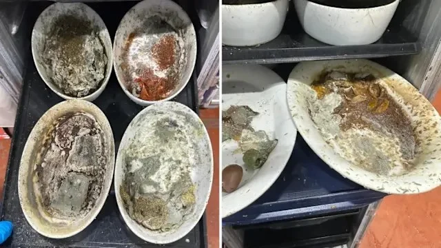 餐具发霉爬满蛆虫!美飞机餐空厨爆食安危机 — 封面
