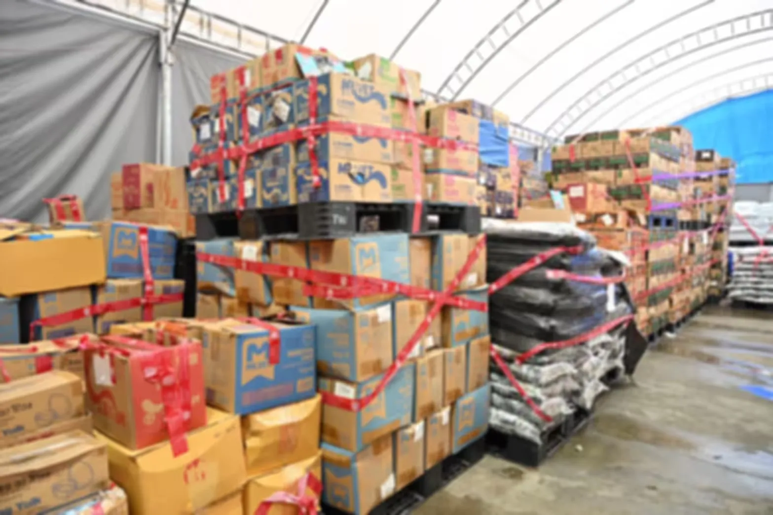 泰国查获大批中国狗粮猫粮：118个品类、总重约68吨 — 正文配图