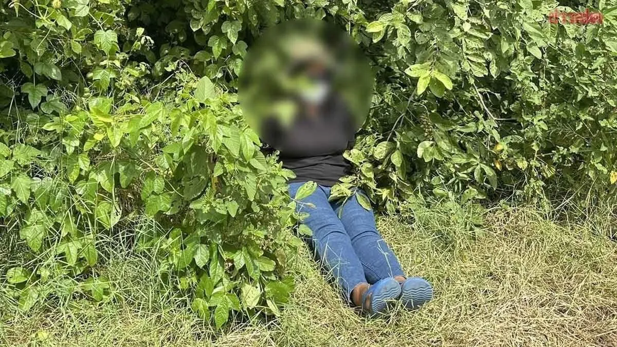 泰国28岁女子上班途中遭劫持,两男子持刀将其带至偏僻林地 — 封面