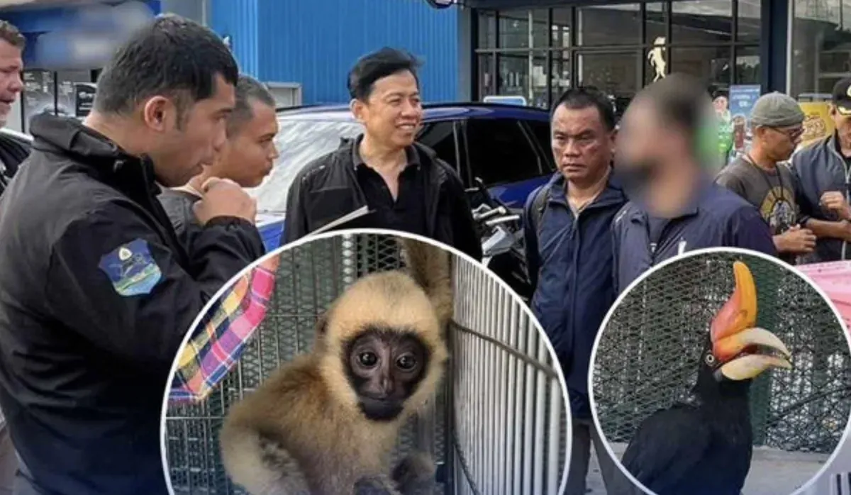 以为是来交货!柬埔寨男子带犀鸟、长臂猿到曼谷油站被抓 — 封面