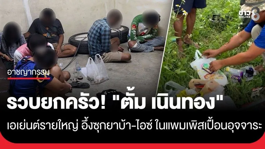 冰毒藏进用过的婴儿尿布!泰国警方突袭榴莲园查获毒品 — 正文配图