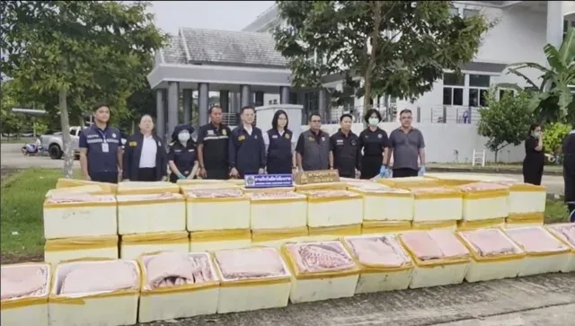 16.5吨冷冻猪肉申报成新鲜蔬菜!泰国清盛海关开柜查获379箱 — 正文配图