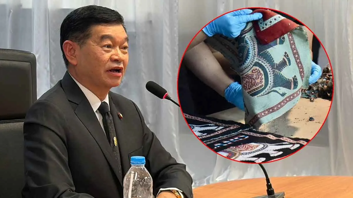 泰国空乘牵出跨国涉毒大案！4人遭检方起诉，最高可判死刑 — 正文配图