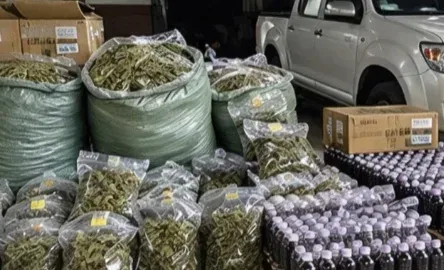 沙湾拿吉警方突然行动！14名中国人涉网络犯罪调查 — 正文配图