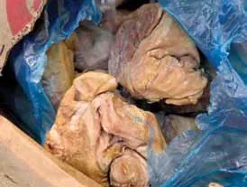 11.5吨冷冻肉被查！菲律宾突击行动抓捕2名中国籍嫌疑人 — 封面