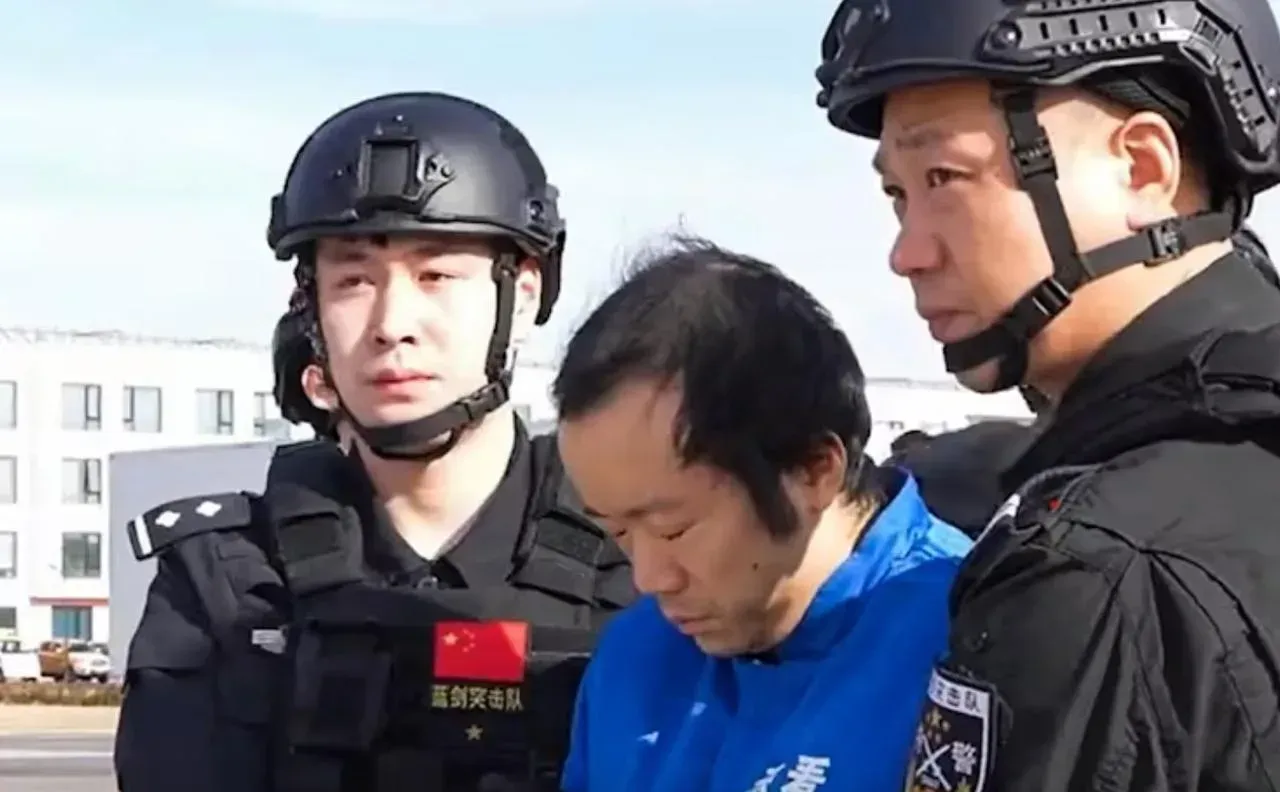 陈志押解画面登上央视，太子集团多名核心成员陆续回国 — 正文配图