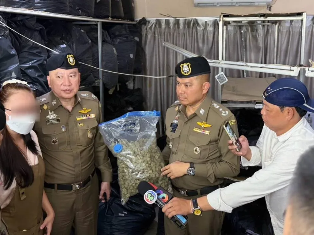 曼谷豪宅查获超过5吨大麻花！5名外籍人员当场被捕 — 正文配图