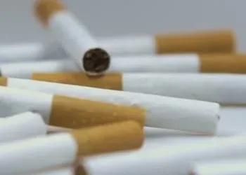 850万比索香烟被查扣！菲律宾海关联合警方执法 — 封面